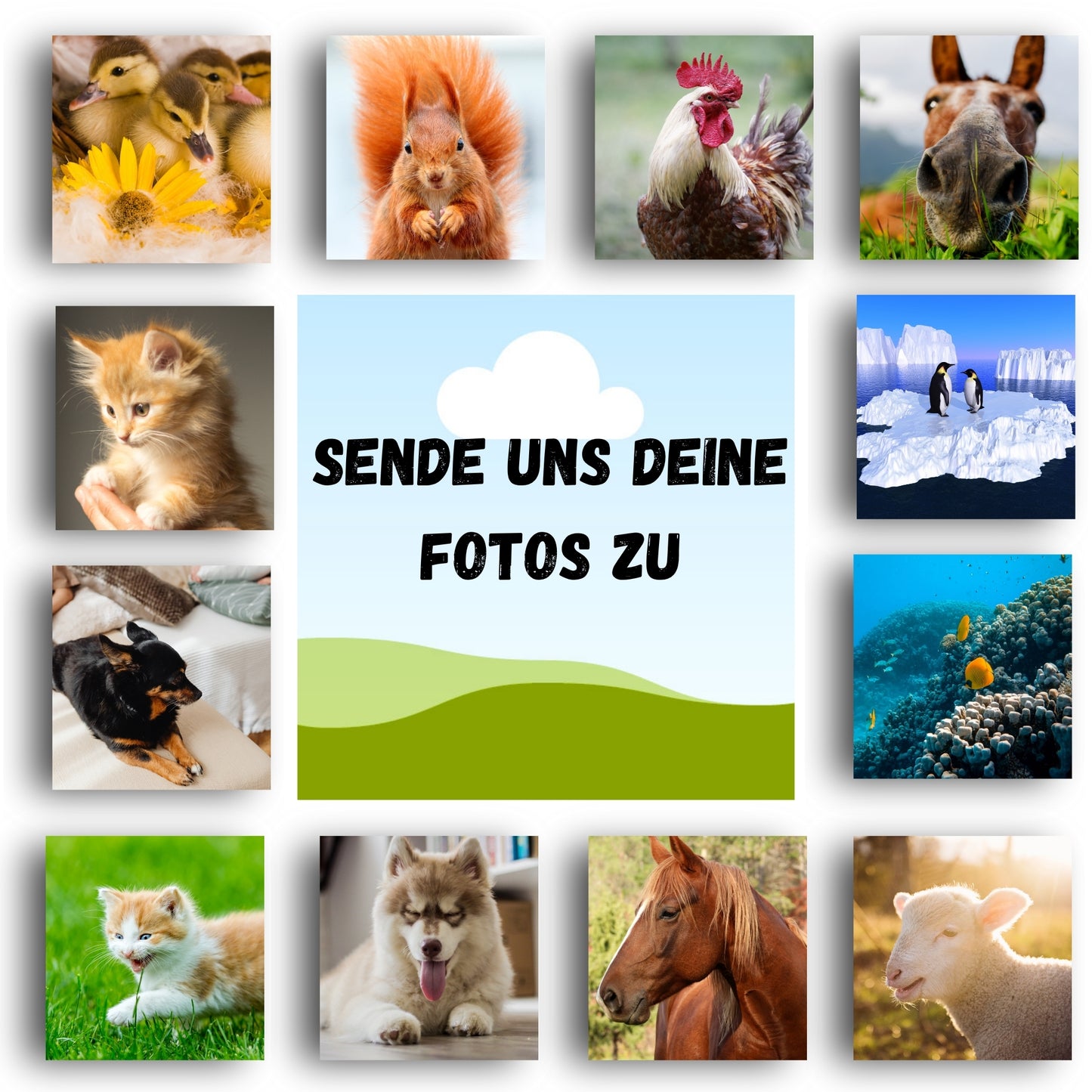 Kühlschrankmagnet mit deinem eigenen Foto 50mm x 50mm